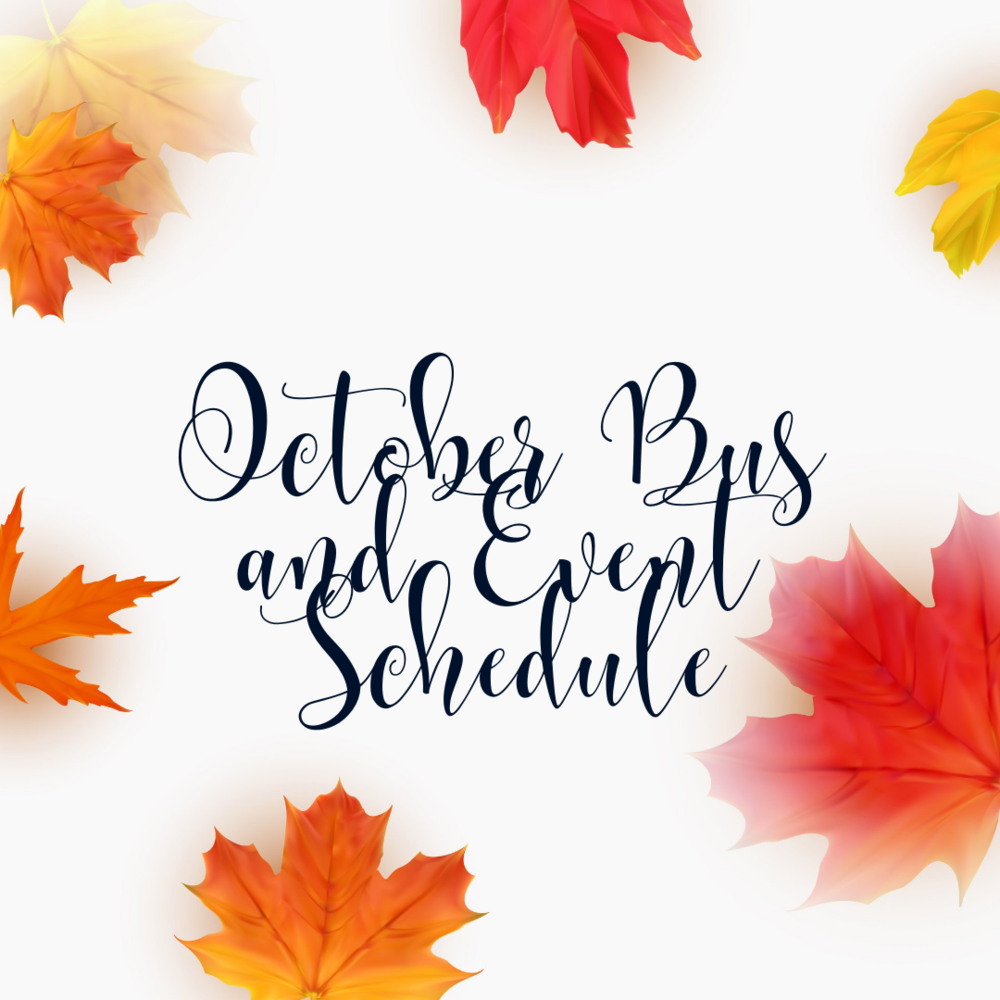 Bus Schedule