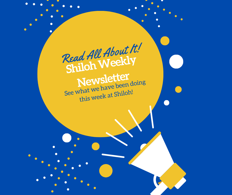 Newsletter