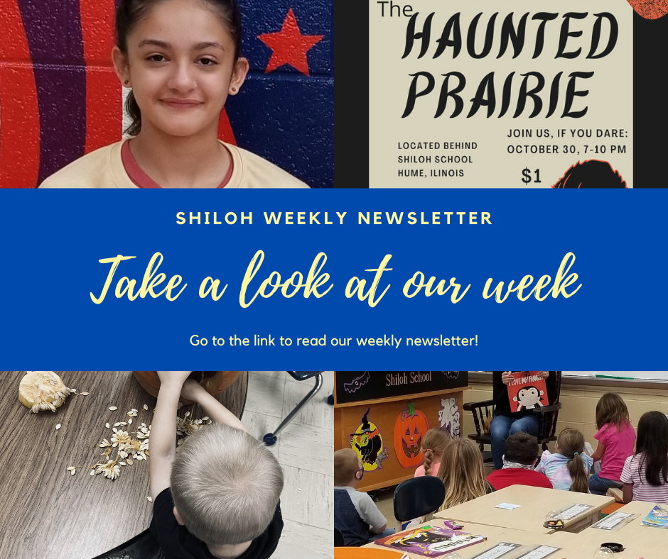 Newsletter
