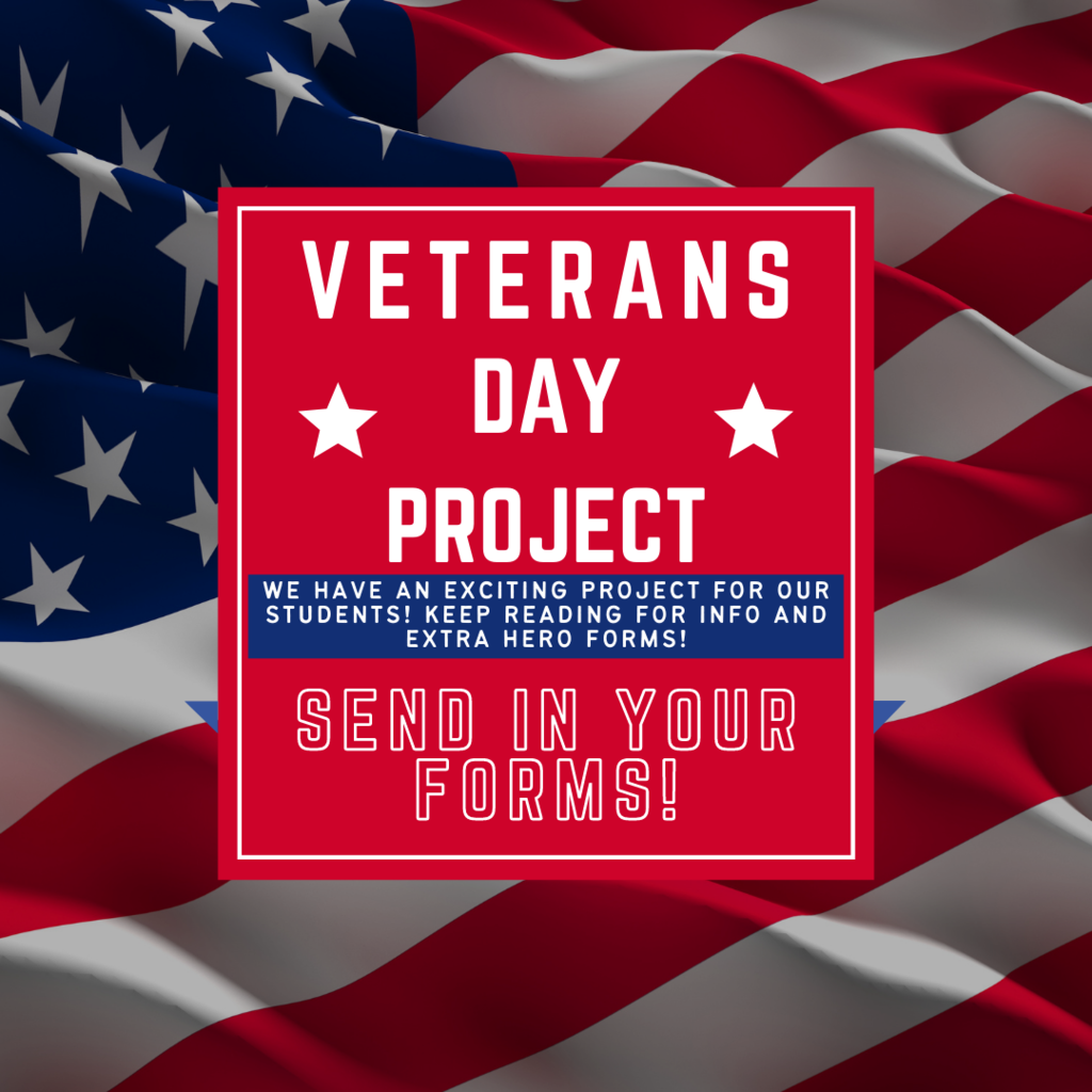 Veterans Day Project